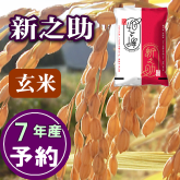 岩船産 新之助 玄米