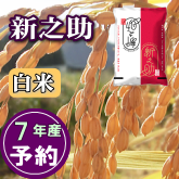 岩船産 新之助 白米