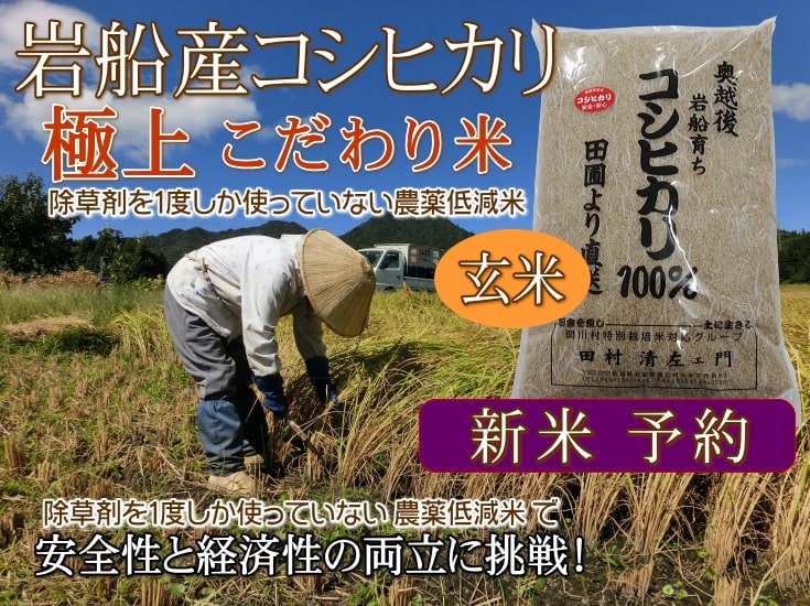 岩船産コシヒカリ【極上】こだわり米（玄米）新米の予約販売