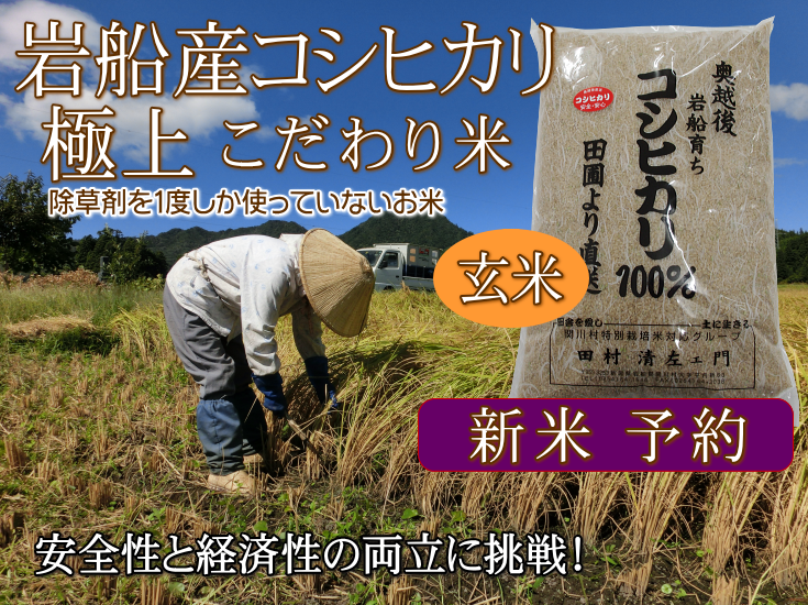 岩船産コシヒカリ【極上】こだわり米(玄米)新米の予約販売