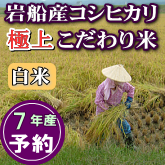 岩船産コシヒカリ【極上】こだわり米 白米