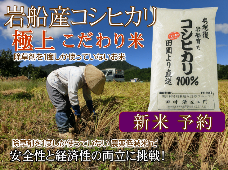 岩船産コシヒカリ 極上 こだわり米
