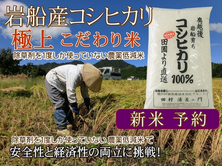 岩船産コシヒカリ【極上】こだわり米（白米）新米の予約販売