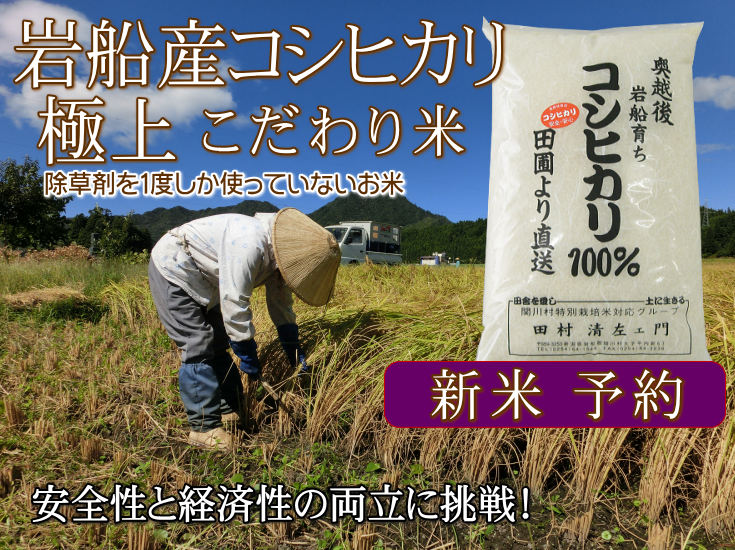 岩船産コシヒカリ【極上】こだわり米(白米)新米の予約販売