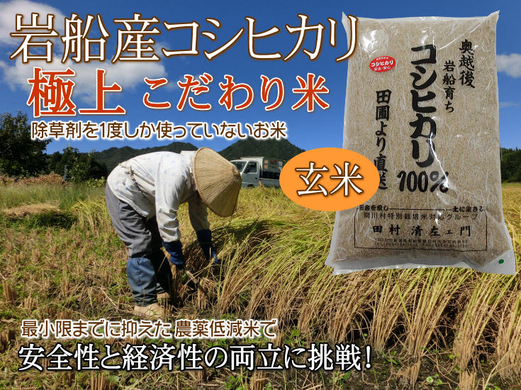 岩船産コシヒカリ【極上】こだわり米 
