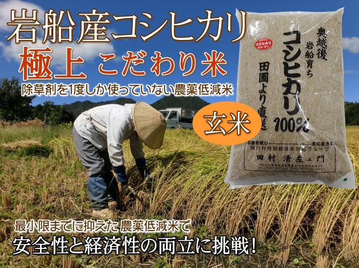 岩船産コシヒカリ【極上】こだわり米 