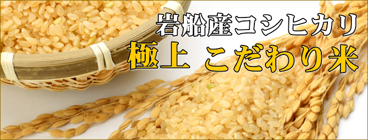岩船産コシヒカリ【極上】こだわり米 玄米