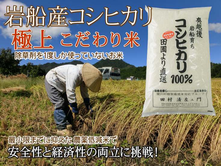 岩船産コシヒカリ【極上】こだわり米 