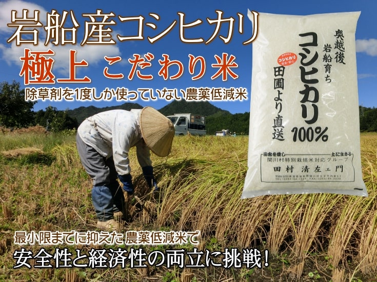 岩船産コシヒカリ【極上】こだわり米 